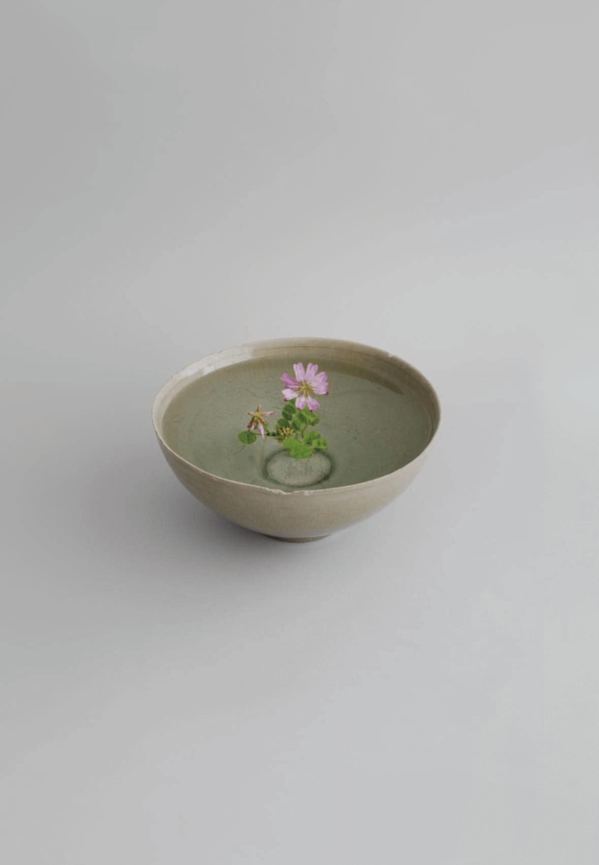 hana-tanaka2