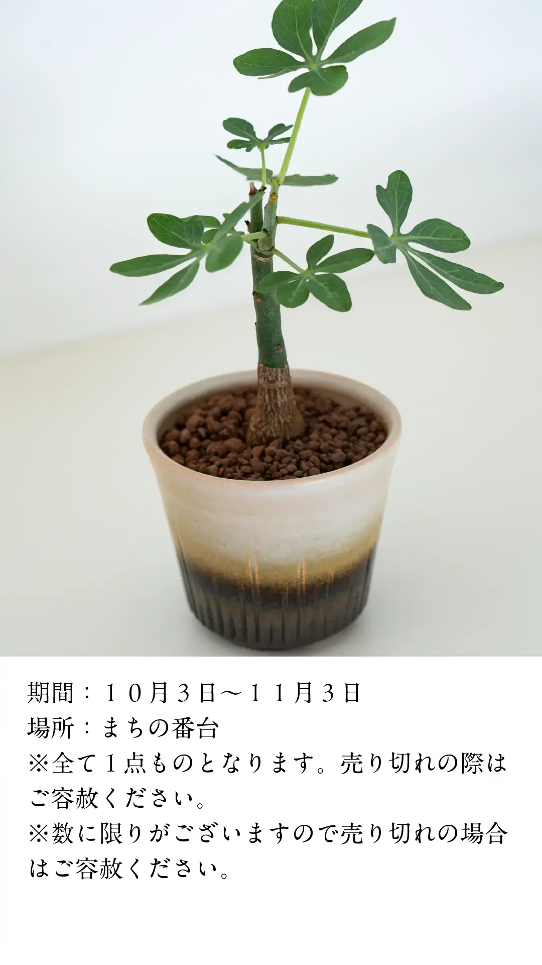 utsuwanoaki25-event2-3.webp